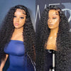 Alibonnie Best Jerry Curly Human Hair Wigs 100% Natural Hair Pre-Plucked 13x6 HD Lace Front Wigs For Women 180% Density - Alibonnie