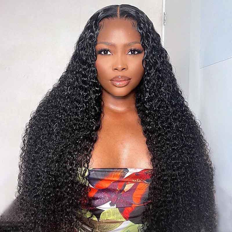 Alibonnie Full Lace Jerry Curly Wigs Human Hair Transparent Wigs Pre Plucked Hairline 180% Denisty - Alibonnie