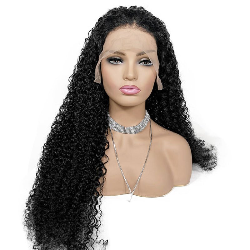 Premium HD Lace Jerry Curly 13x4 HD Lace Front Wigs Curly Human Hair Wigs With Pre Plucked Hairline|True length - Alibonnie