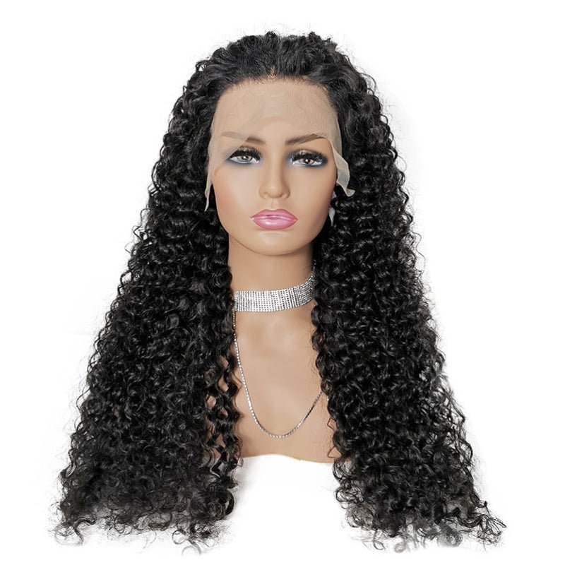 Premium HD Lace Jerry Curly 13x4 HD Lace Front Wigs Curly Human Hair Wigs With Pre Plucked Hairline|True length - Alibonnie