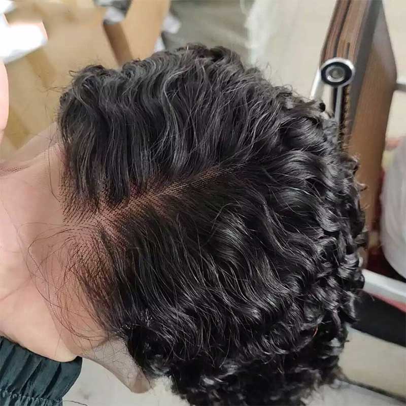 Alibonnie Skin Melted HD Lace Closure Wigs Skin Melted HD Lace Closure Wigs Pre Plucked 5x5 Water Wave Human Hair Wigs